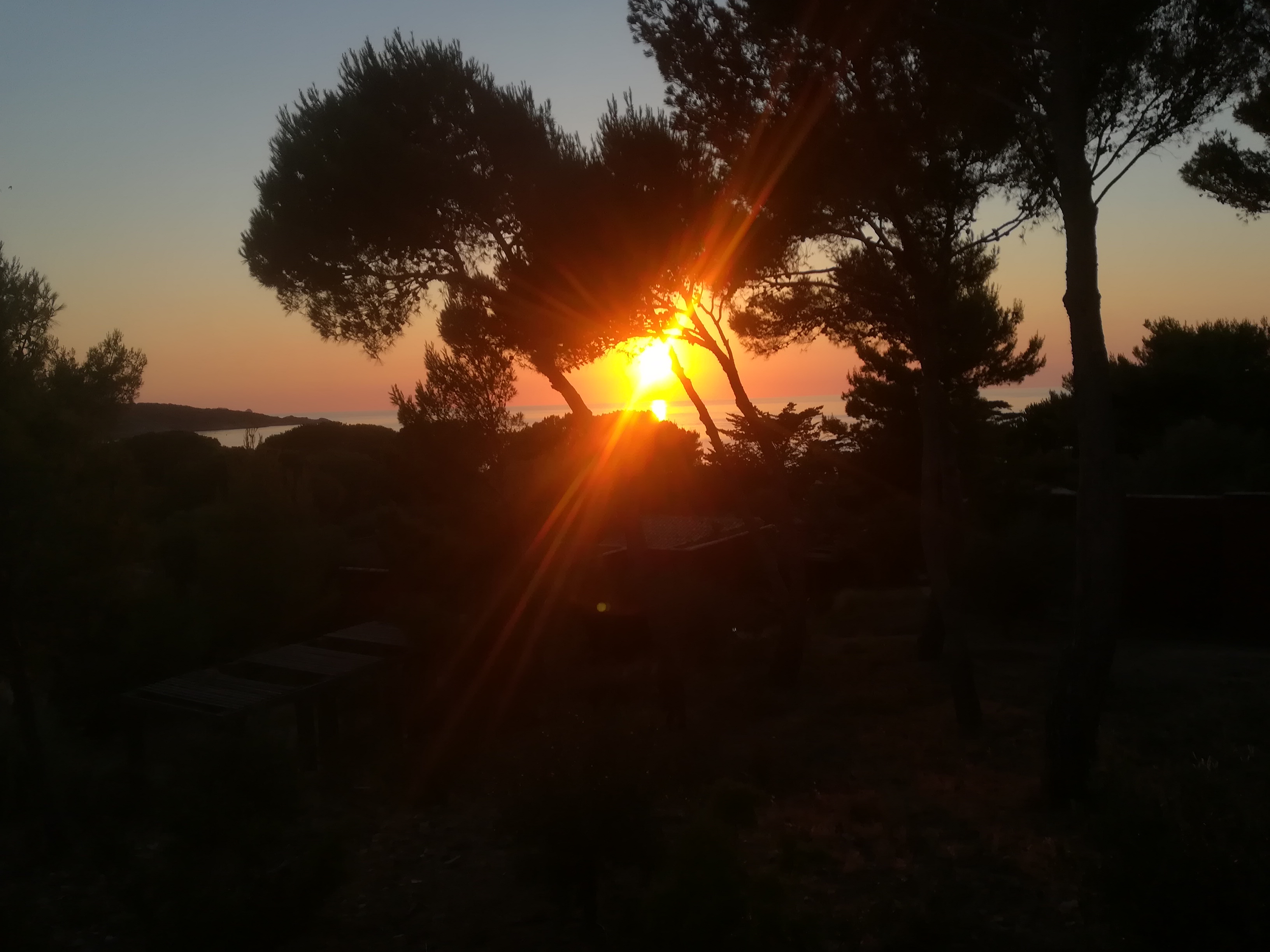 Photo n° 1 de l'avis de Alexandre.r fait le 28/07/2020 à 14:24
