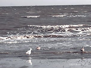 Photo n°23 de Le Bako à Dunkerque ()