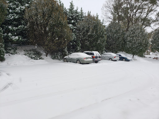 Hotel «Hilton Garden Inn Winchester», reviews and photos, 120 Wingate Dr, Winchester, VA 22601, USA