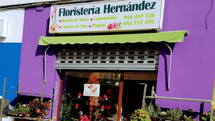 Floristeria Hernández