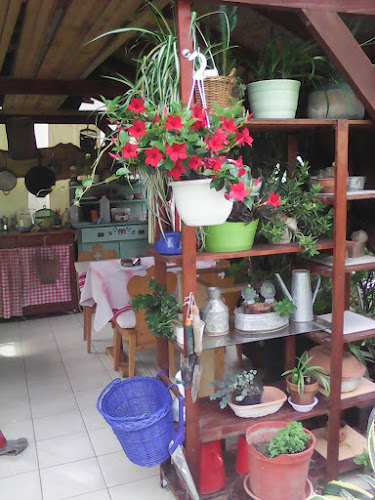 Comentarii opinii despre Autó World Kft.