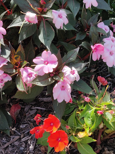 Zoo «Turtle Back Zoo», reviews and photos, 560 Northfield Ave, West Orange, NJ 07052, USA