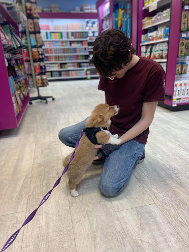 Pet Supply Store «The Pet Beastro», reviews and photos, 27637 John R Rd, Madison Heights, MI 48071, USA