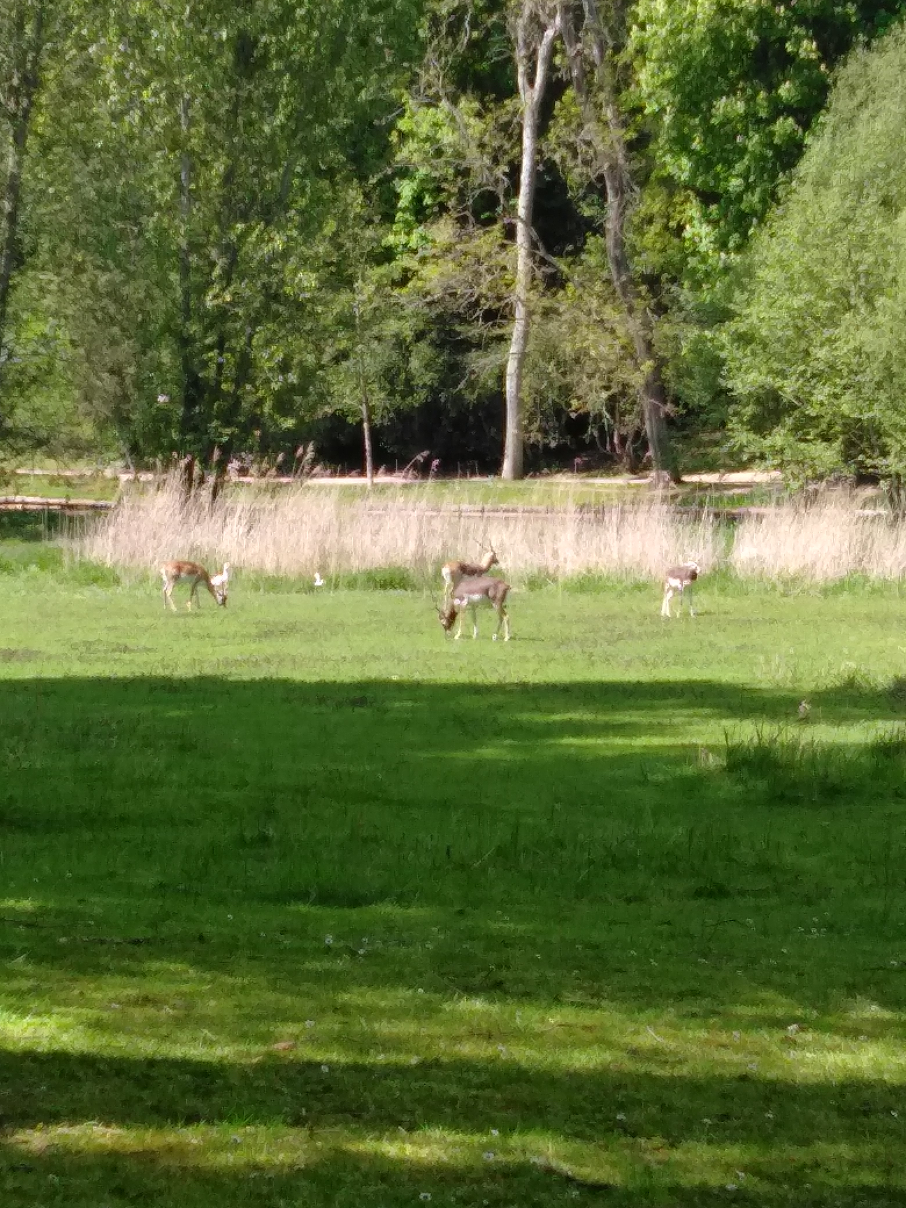 Photo n° 19 de l'avis de Francois.u fait le 08/05/2019 à 16:10