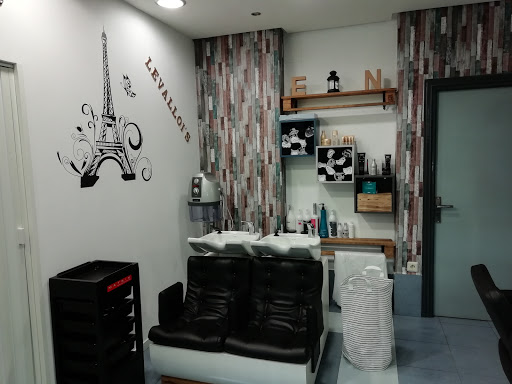 Información y opiniones sobre LEVALLOI'S ESTILISTAS de Zamora