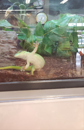 Pet Supply Store «Petco Animal Supplies», reviews and photos, 9603 North Sam Houston Pkwy E, Humble, TX 77396, USA