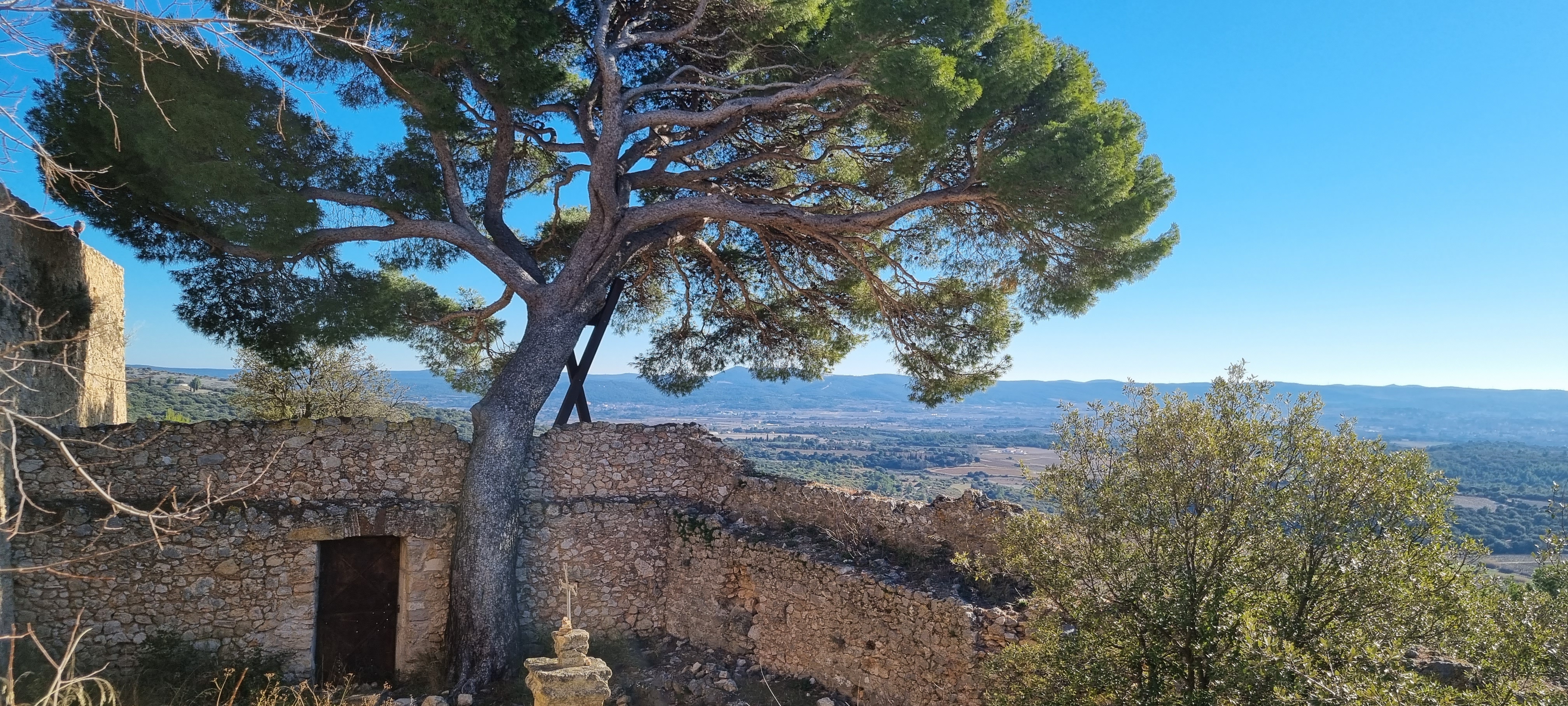 Photo n° 3 de l'avis de Thirion.e fait le 23/01/2022 à 13:02