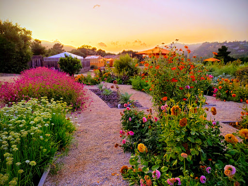 Carmel Valley Ranch - The Unbound Collection by Hyatt image