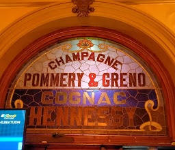 Dobermann Centro photo