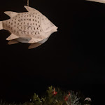 Photo n°3 de l'avis de Roberta.a fait le 29/08/2020 à 14:11 sur le  Pizzeria AI LAGHI - Lievitati Naturali à Revine Lago