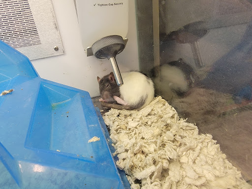 Pet Supply Store «Petco Animal Supplies», reviews and photos, 4139 US Hwy 98 N, Lakeland, FL 33809, USA