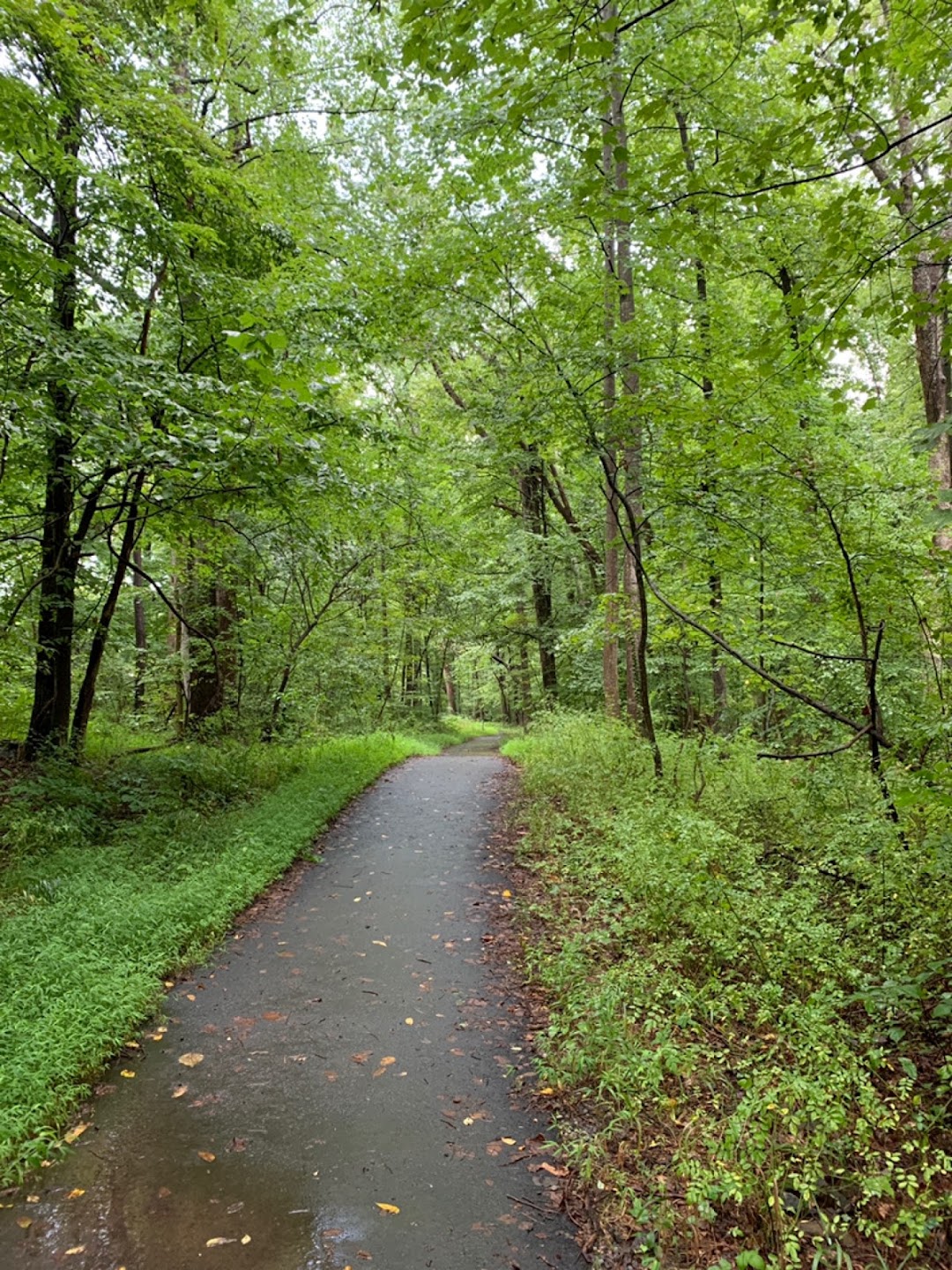 Flatlick Stream Valley Park