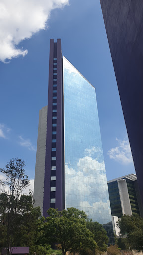 Self-employed management companies Monterrey