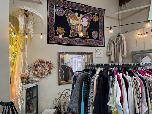 Thrift Store «Snowline Hospice Thrift Store», reviews and photos, 3961 El Dorado Rd, Placerville, CA 95667, USA