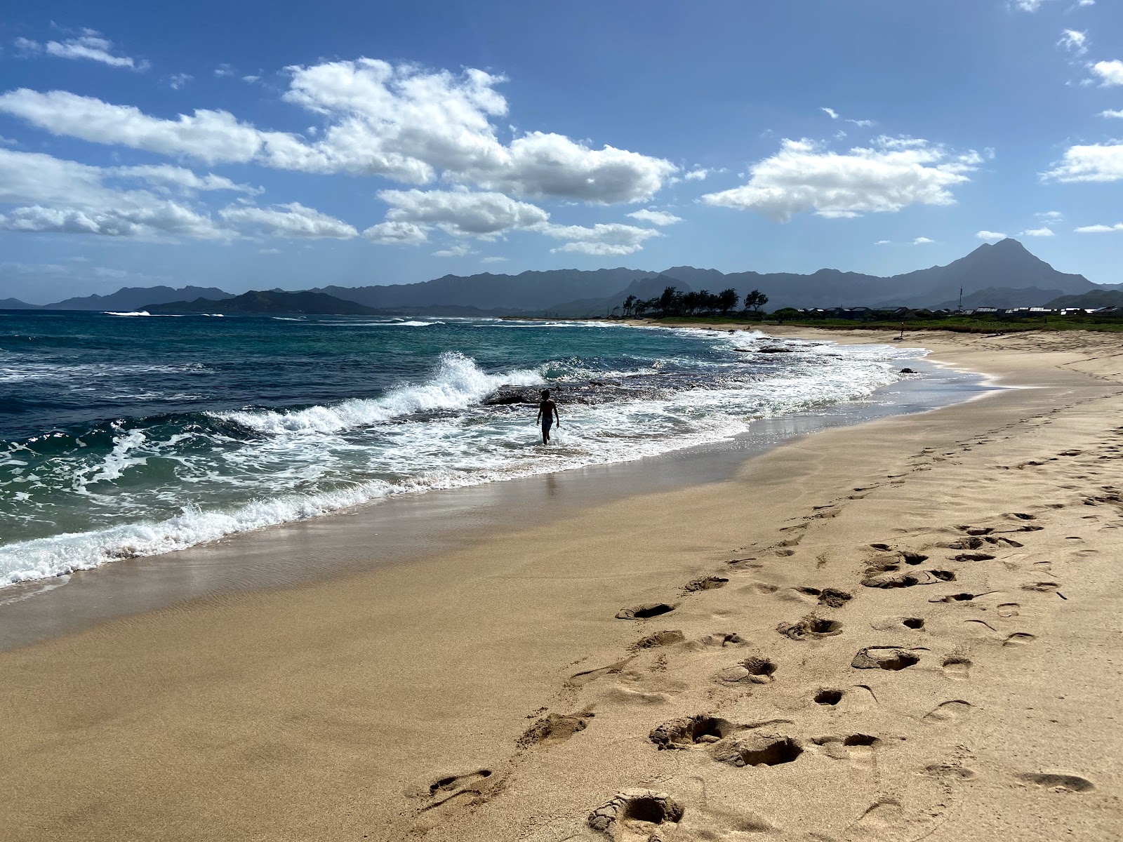 Foto af Fort Hase Beach vildt område