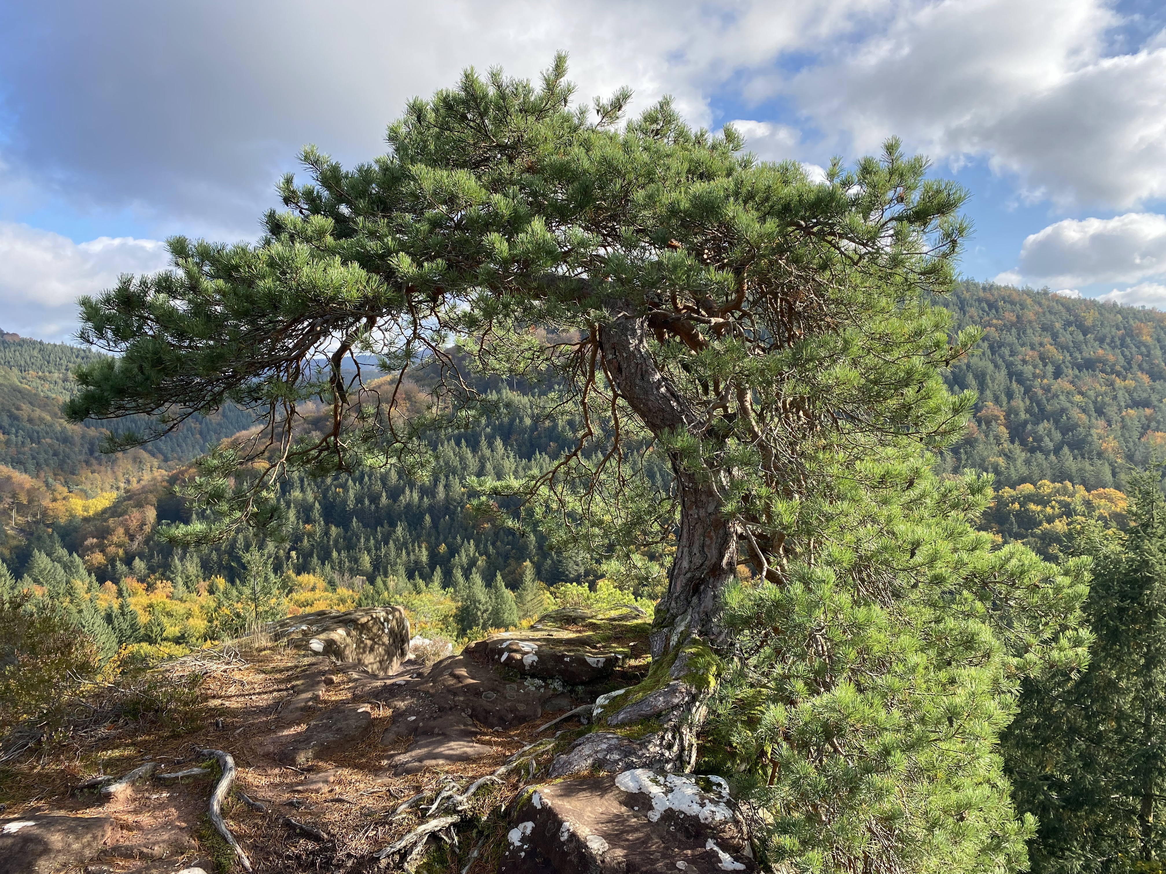 Photo n° 1 de l'avis de Michael.r fait le 16/11/2021 à 08:34