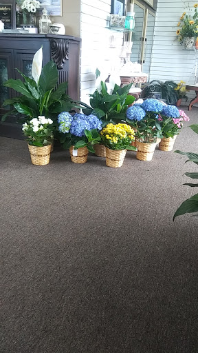 Florist «Oneco Florist», reviews and photos, 5012 15th St E, Bradenton, FL 34203, USA