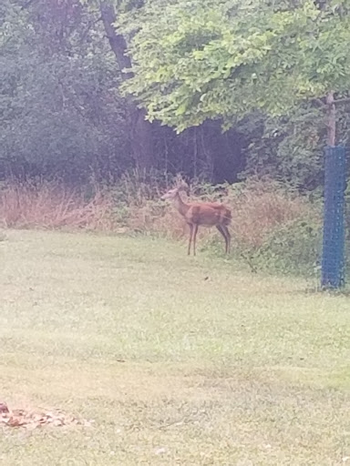 State Park «Brezina Woods», reviews and photos, N La Grange Rd, La Grange Park, IL 60526, USA