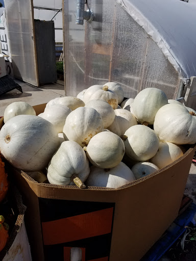 Produce Market «Kuwahara Farms», reviews and photos, 736 12300 S, Draper, UT 84020, USA