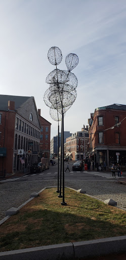 DVD Store «Bull Moose», reviews and photos, 151 Middle St, Portland, ME 04101, USA