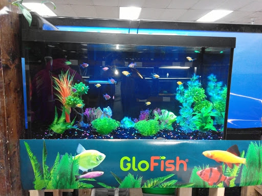 Pet Supply Store «Tropical World Pets», reviews and photos, 8444 Watson Rd, Webster Groves, MO 63119, USA