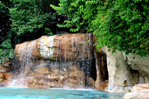 Water Park «Discovery Cove», reviews and photos, 6000 Discovery Cove Way, Orlando, FL 32821, USA