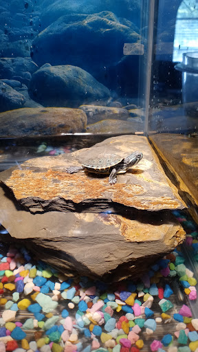 Pet Supply Store «PetSmart», reviews and photos, 11400 Financial Centre Pkwy, Little Rock, AR 72211, USA