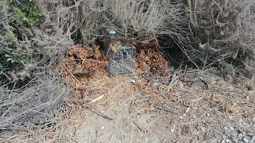 Nature Preserve «Newport Bay Conservancy», reviews and photos, 2301 University Dr, Newport Beach, CA 92660, USA