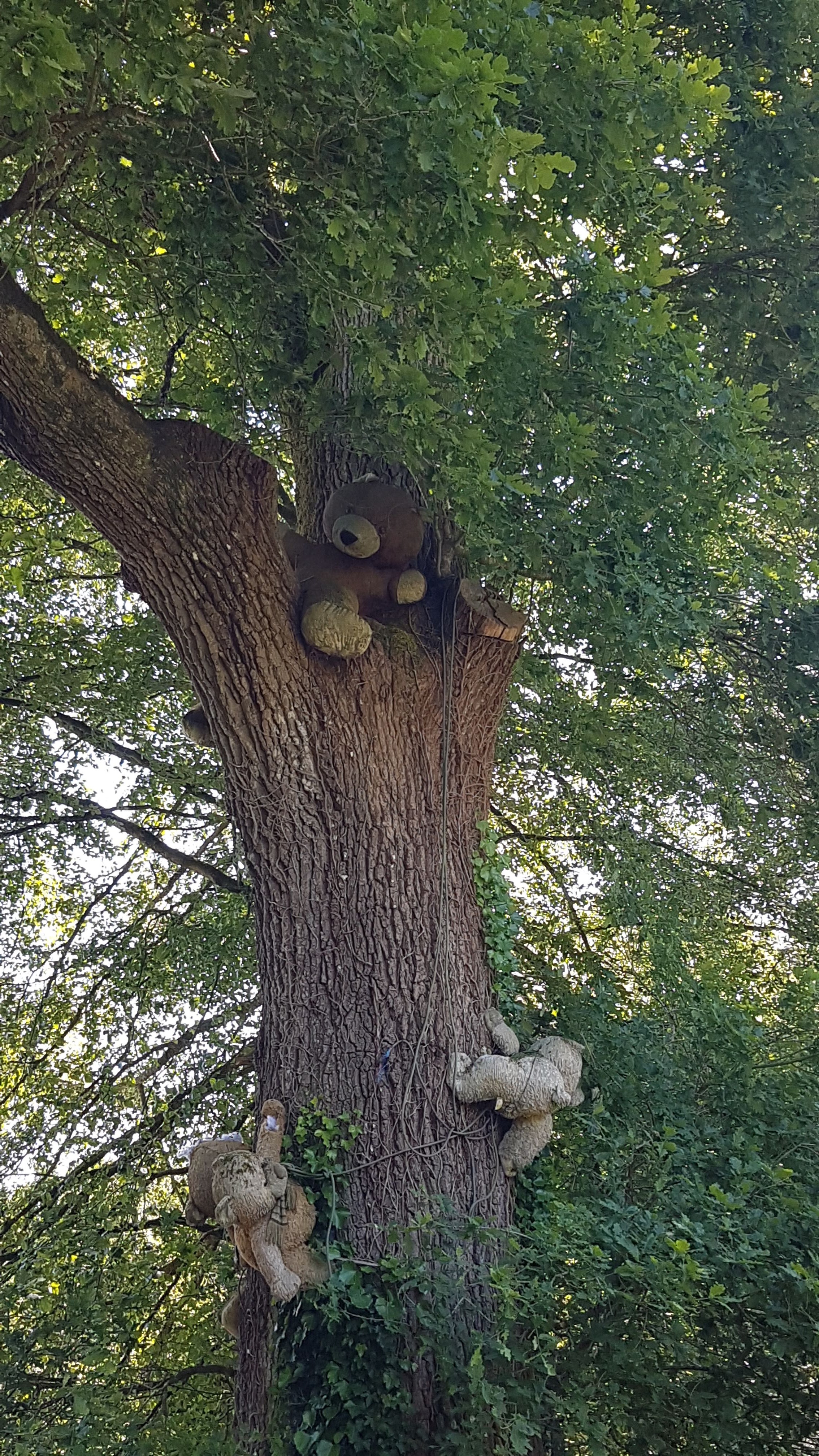 Photo n° 6 de l'avis de Daniel.r fait le 29/05/2020 à 14:41