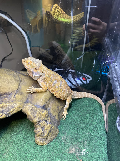 Pet Supply Store «Living Things», reviews and photos, 3437 PA-309, Orefield, PA 18069, USA