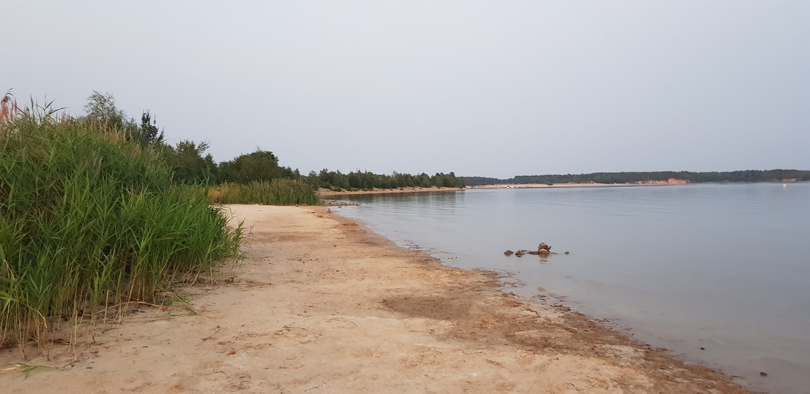 Foto di Hundestrand Barwalder See con una superficie del sabbia beige