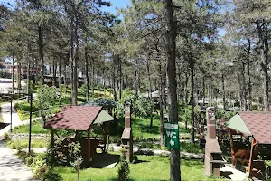 Park Of İstanbul Doğa ve Yaşam Kompleksi | Çekmeköy Hayvan Rehabilitasyon Merkezi image