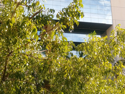 Museum «HistoryMiami Museum», reviews and photos, 101 W Flagler St, Miami, FL 33130, USA