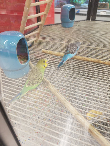 Pet Supply Store «Petco Animal Supplies», reviews and photos, 2072 Sycamore Rd, DeKalb, IL 60115, USA