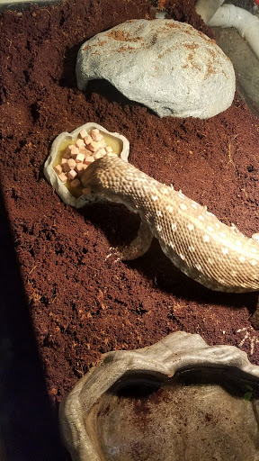 Pet Supply Store «Petco Animal Supplies», reviews and photos, 92 Cluff Crossing Rd, Salem, NH 03079, USA