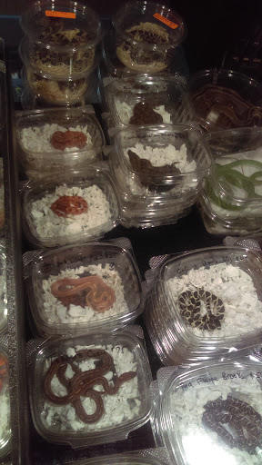 Reptile Store «Cleveland Reptile Show», reviews and photos, 17250 Hummel Rd, Brook Park, OH 44142, USA