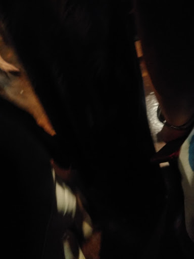 Event Venue «The Quonset», reviews and photos, 178 S Center St, Collierville, TN 38017, USA