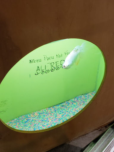 Pet Store «Forever Pets Inc», reviews and photos, 1030 Basse Rd, San Antonio, TX 78212, USA