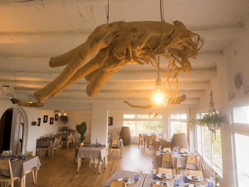 Green Leka Can Valldaura