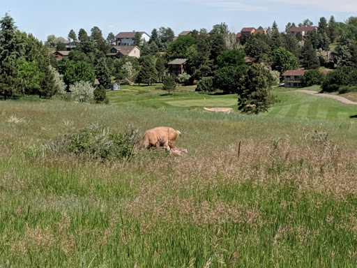 Golf Course «The Pinery Country Club», reviews and photos, 6900 N Pinery Pkwy, Parker, CO 80134, USA