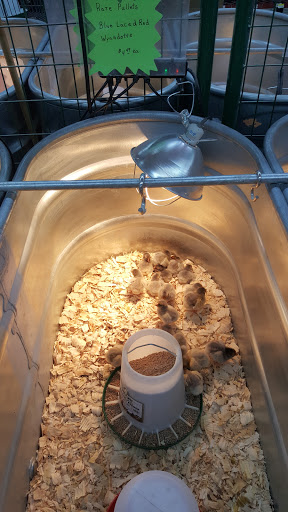 Department Store «Rural King», reviews and photos, 1141 Fort Campbell Blvd, Clarksville, TN 37042, USA