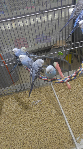 Pet Supply Store «PetSmart», reviews and photos, 5200 W Main St, Kalamazoo, MI 49009, USA