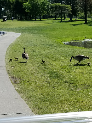 Golf Course «Diamond Oaks Golf Course», reviews and photos, 349 Diamond Oaks Rd, Roseville, CA 95678, USA