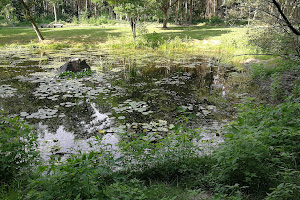 Naherholungsgebiet "Gänsbrüh"