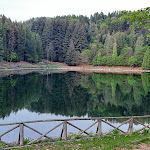 Photo n°6 de l'avis de Barbara.o fait le 07/05/2023 à 11:20 sur le  L'Incontro à Meugliano