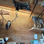 Photo n°2 de l'avis de Frank59. fait le 28/07/2021 à 19:27 sur le  Refreshments Magna and Drink à Speccheri