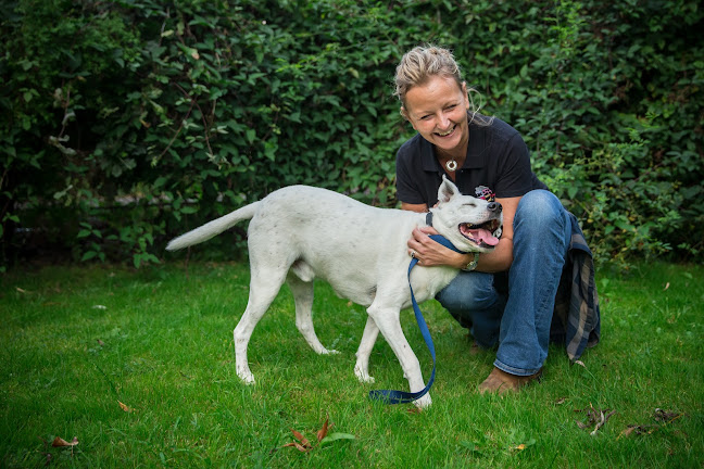 We Love Pets Wakefield - Dog Walker, Pet Sitter & Home Boarder Open Times