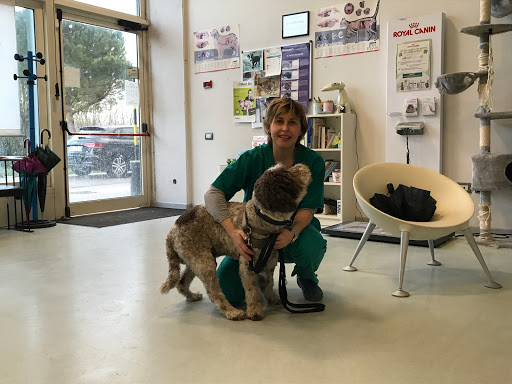 Pensioni per cani e dog hotel a Clinica Veterinaria Poggio Piccolo