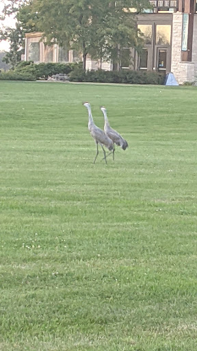 Performing Arts Theater «Sharon Lynne Wilson Center for the Arts», reviews and photos, 19805 W Capitol Dr, Brookfield, WI 53045, USA