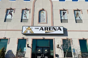 The Arena Inc. image